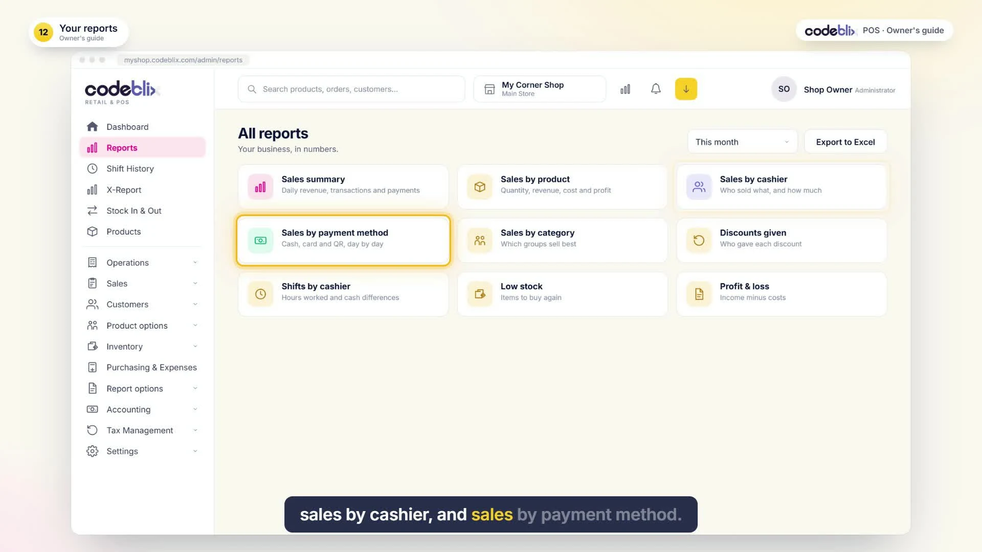 Sample Codeblix POS reports hub with sales, cashier, payment, low-stock and profit reports